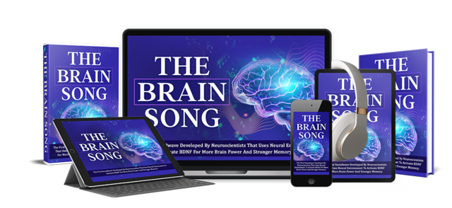 the Brain Song